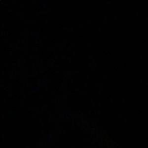 Meet your Posher, Deandre